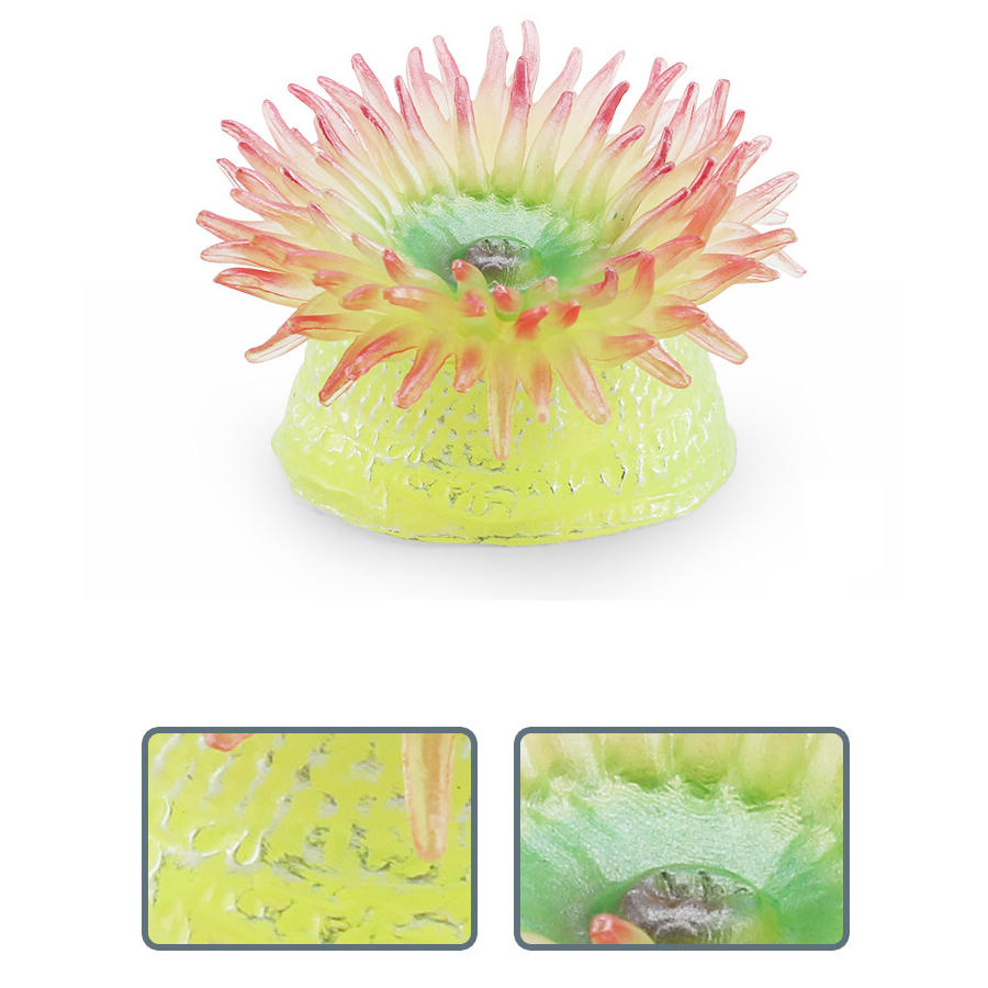 Realistic Coral Sea Anemones S - Kids Education Things recensie en prijs
