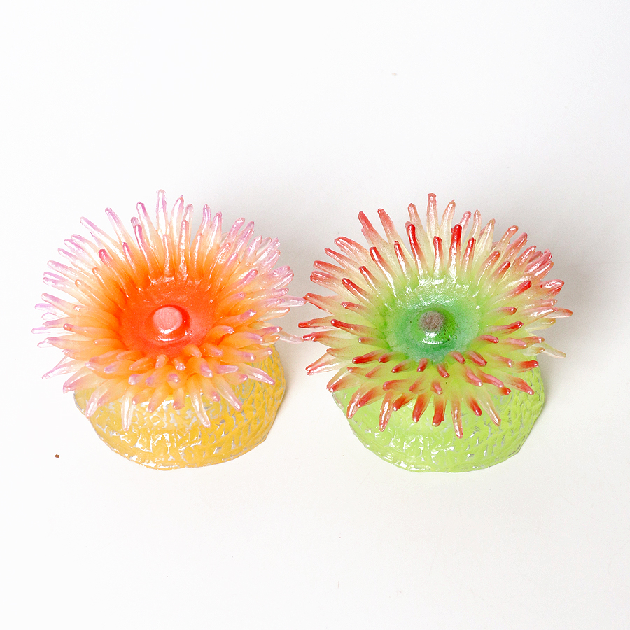 Realistic Coral Sea Anemones S - Kids Education Things recensie en prijs