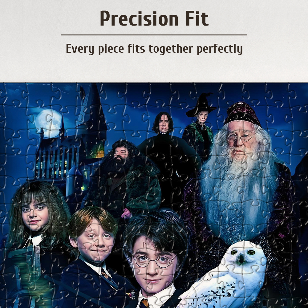Magic Wizard World Harry Potte - Puzzle Map World recensie en prijs