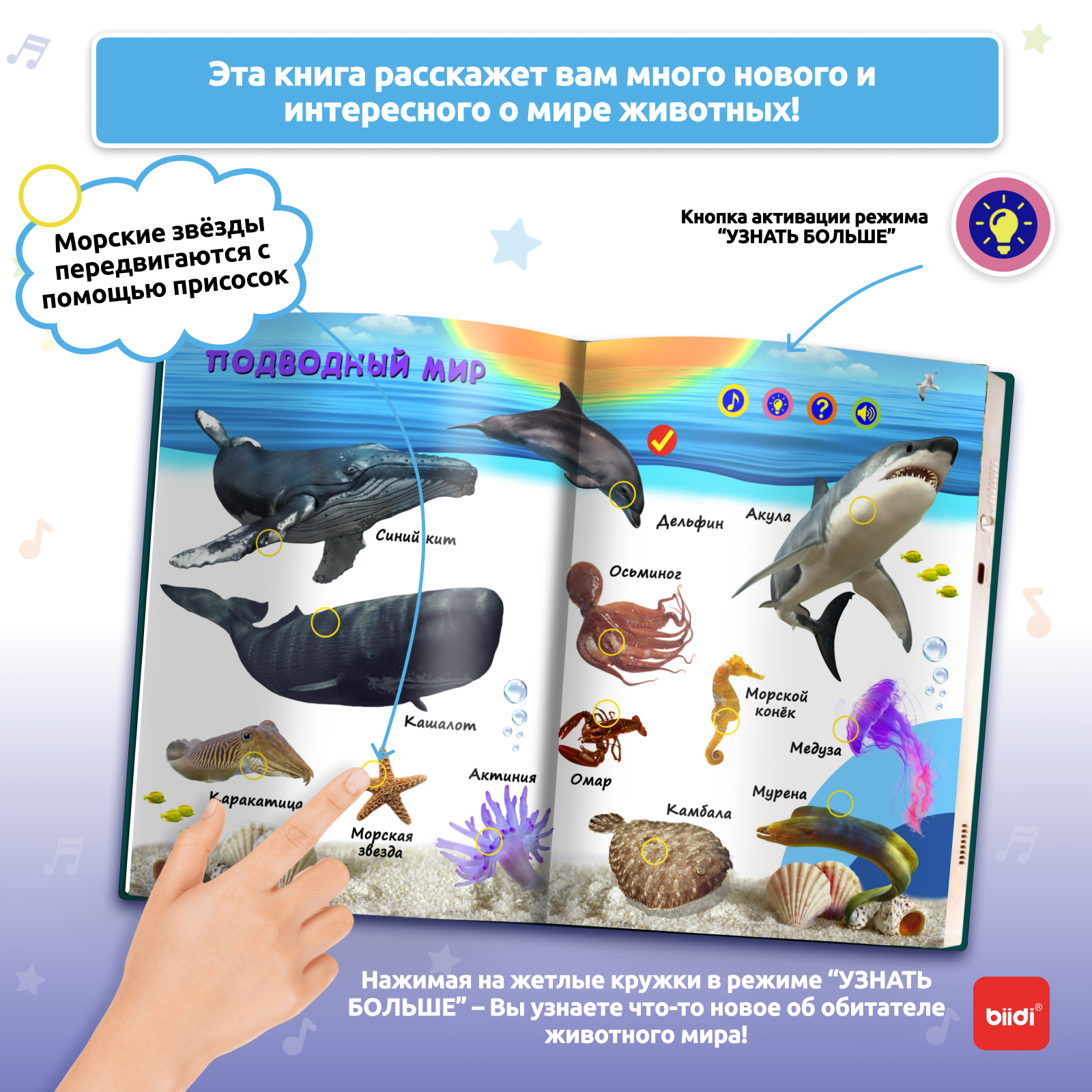 Biidi learning game for kids M - Education Kids Ru recensie en prijs