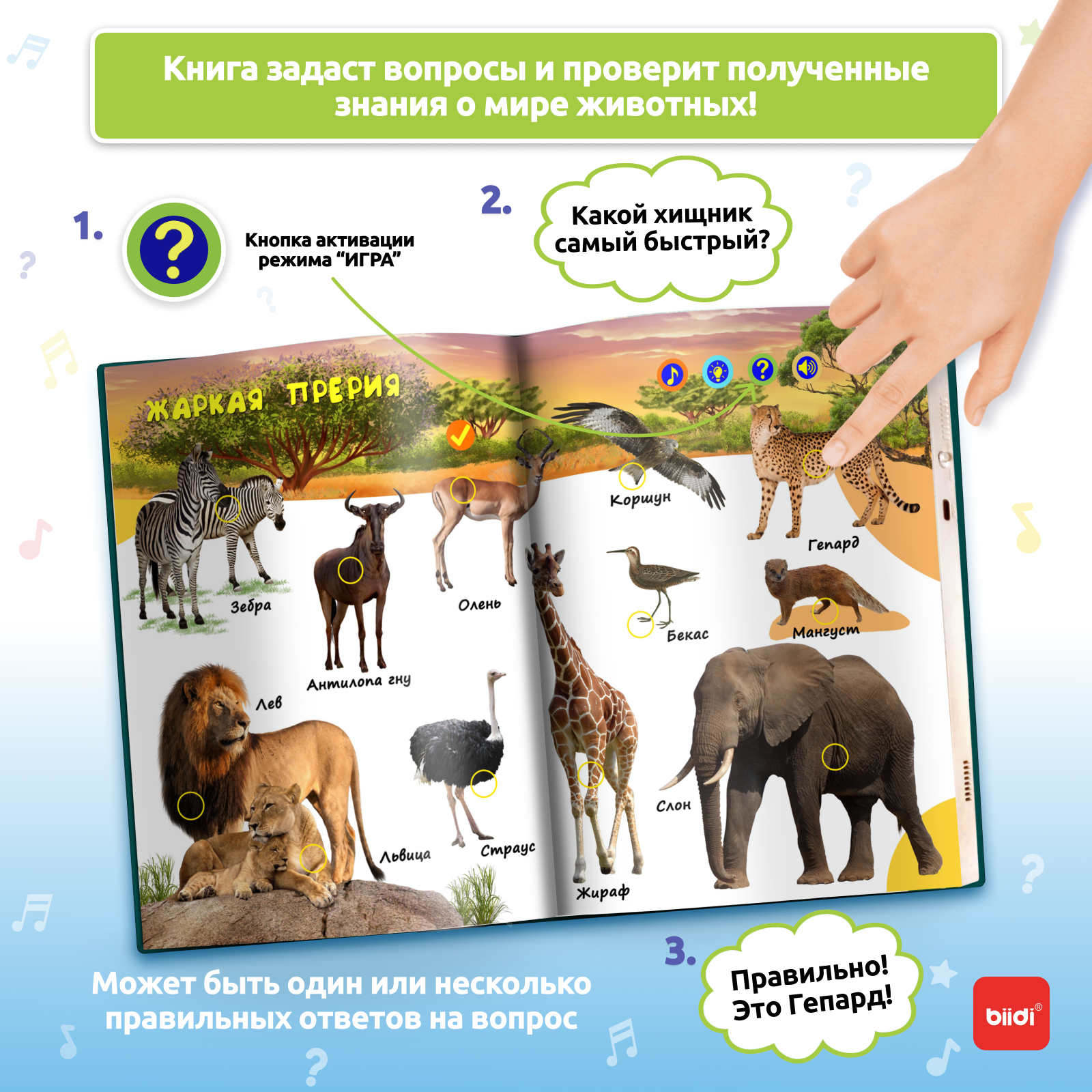 Biidi learning game for kids M - Education Kids Ru recensie en prijs
