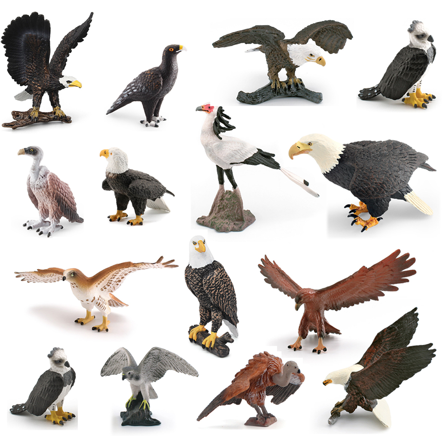 Realistic Wildlife Animal Bird - Kids Education Things recensie en prijs