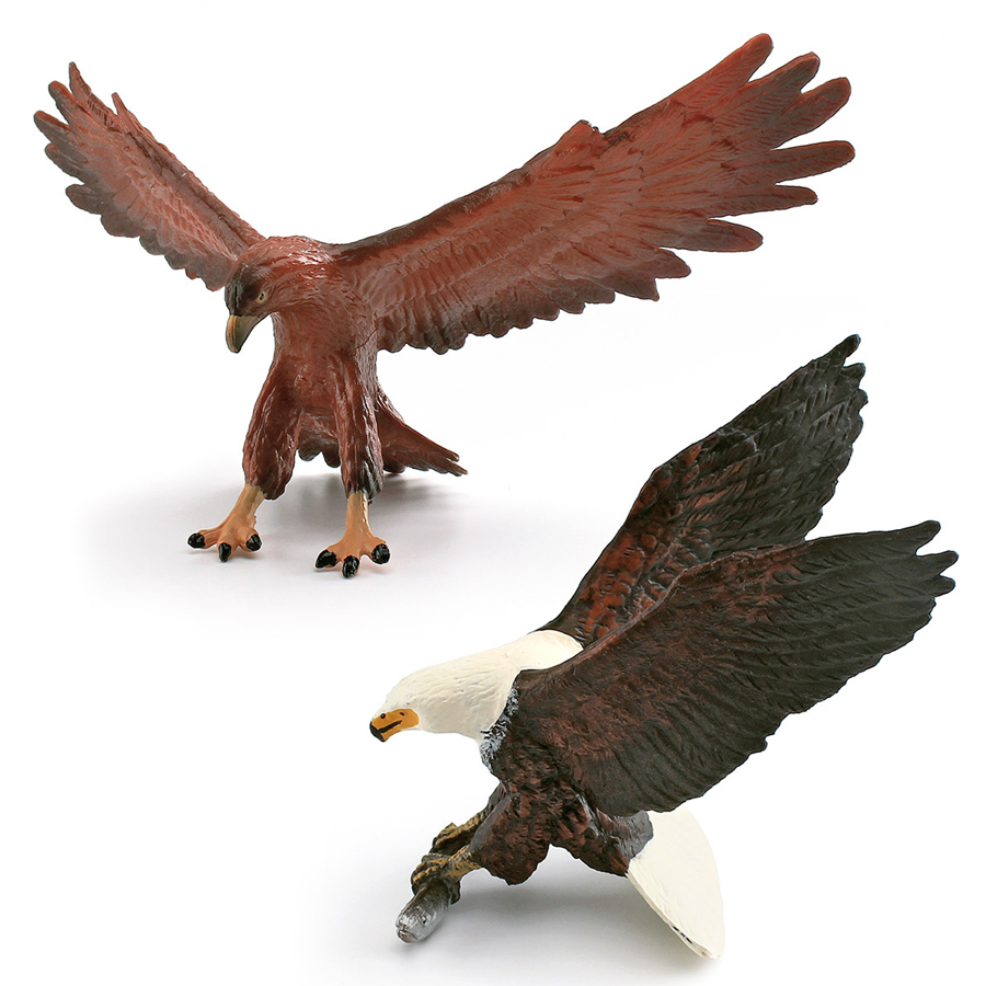 Realistic Wildlife Animal Bird - Kids Education Things recensie en prijs