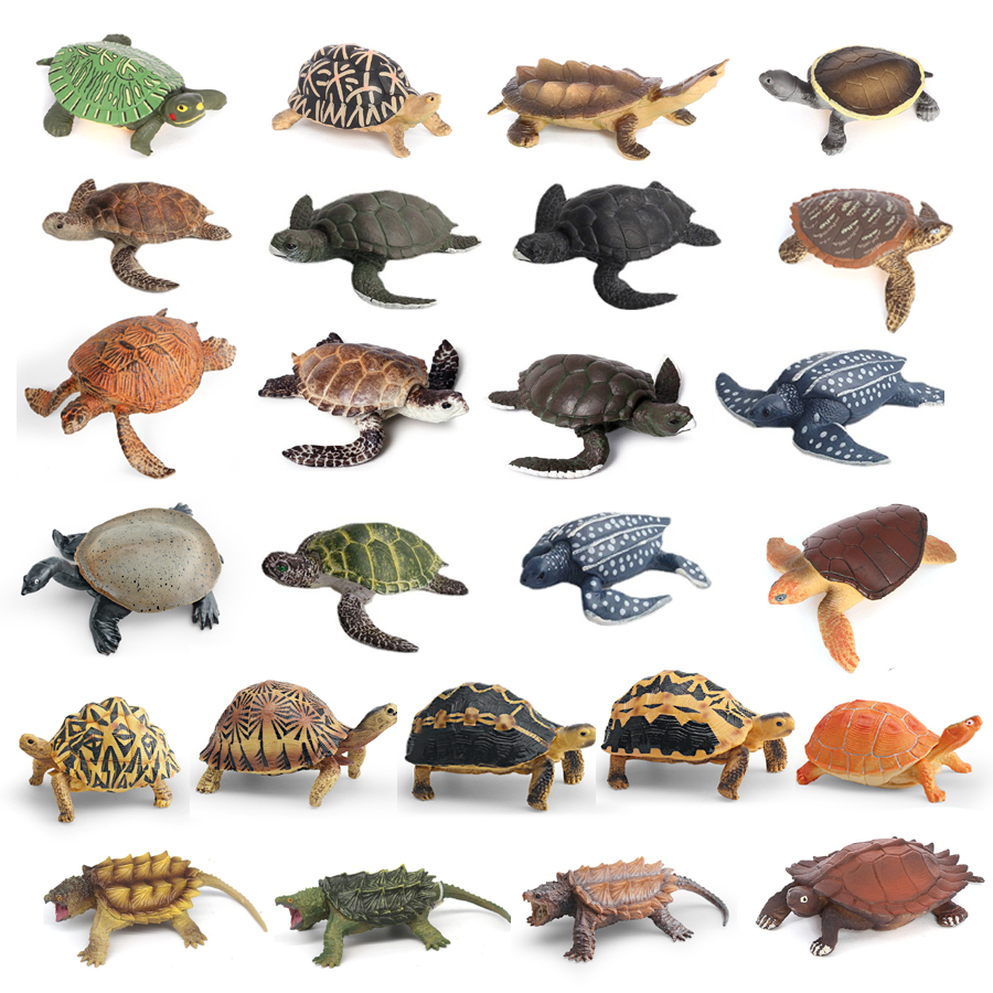 Simulation Chinese Softshell L - Kids Education Things recensie en prijs