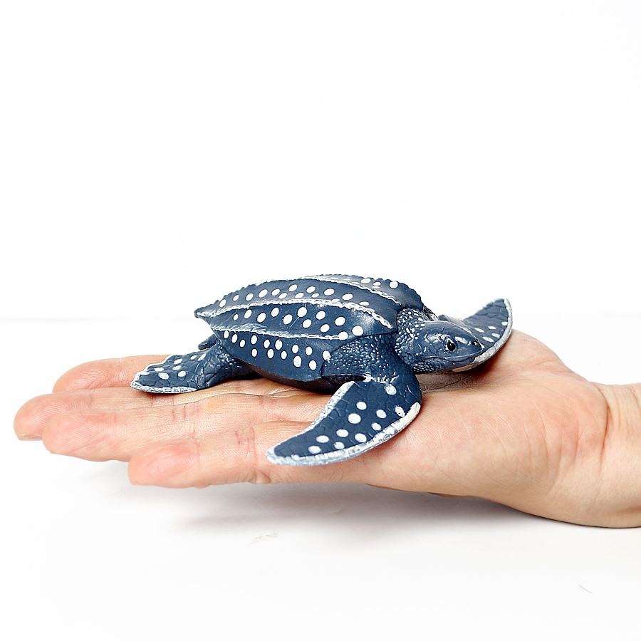 Simulation Chinese Softshell L - Kids Education Things recensie en prijs
