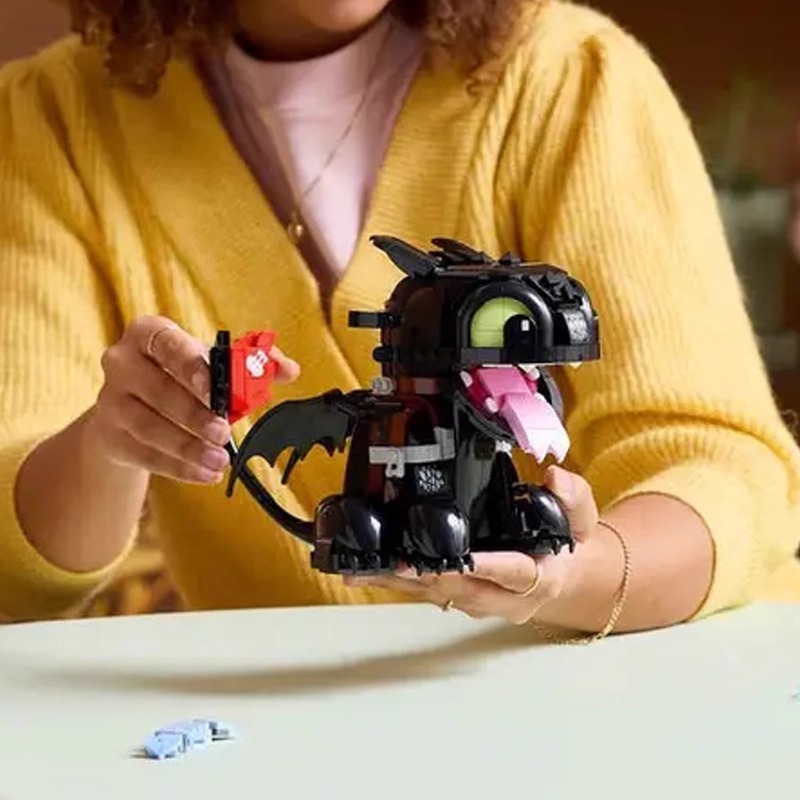 New How to Train Your Dragon T - Kids Education Things recensie en prijs