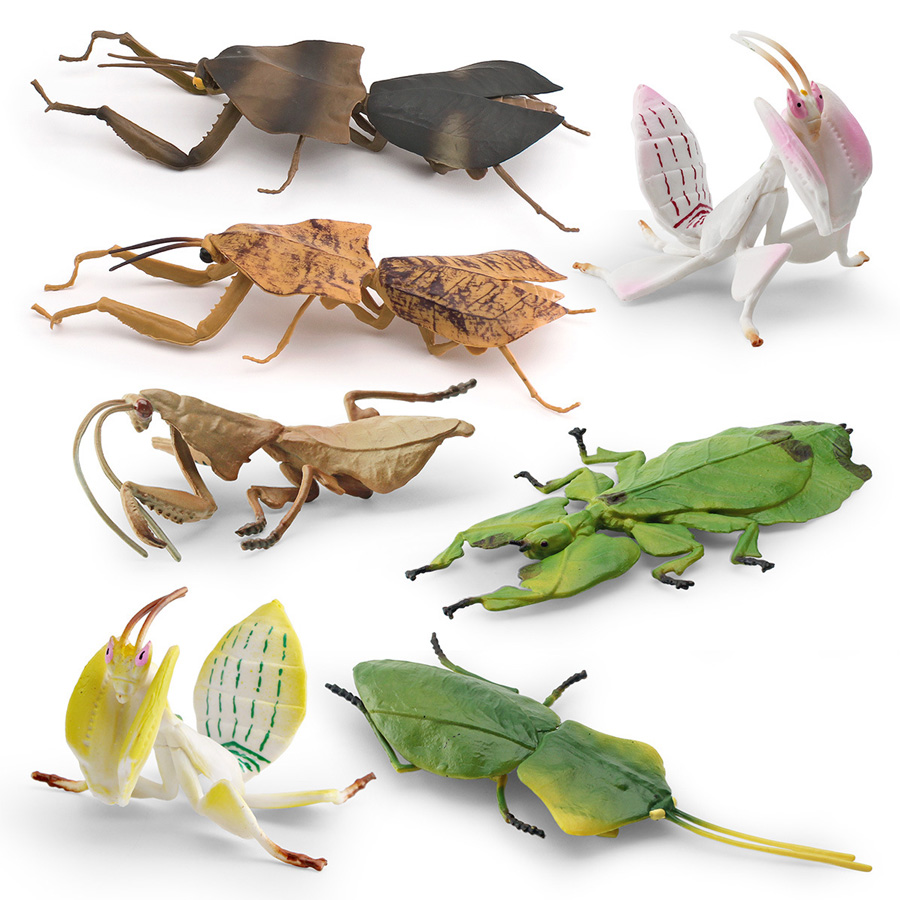Realistic Orchid Mantis Dead L - Kids Home Education recensie en prijs