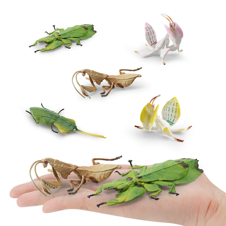 Realistic Orchid Mantis Dead L - Kids Home Education recensie en prijs